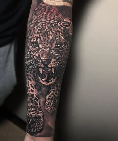 Animal