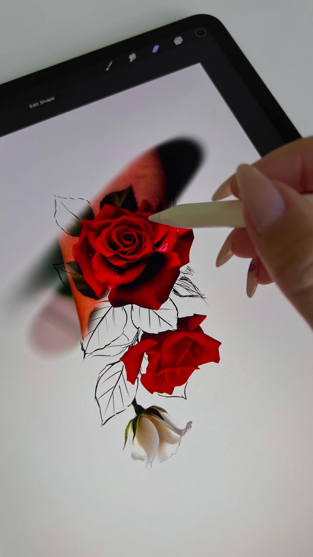 Flower, Rose