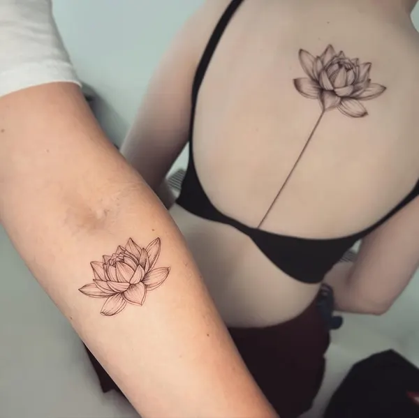 Flower, 멘디, 모란, 목련, 백합, 연꽃, 수선화, 탄생화, 연꽃 문양, 한국 연꽃, 연꽃 만다라, 국화, 일본 단풍