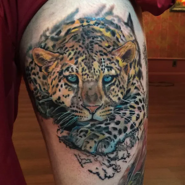 Animal, 치타, 표범, 재규어