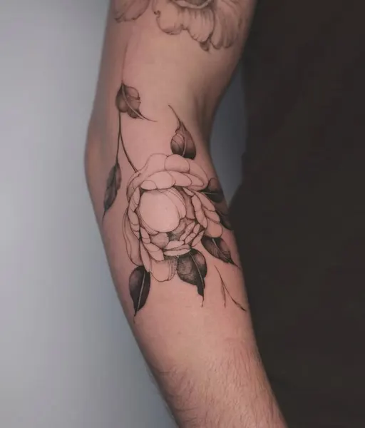 Flower, Rose