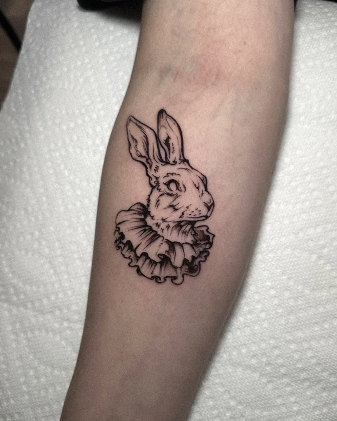토끼, Animal