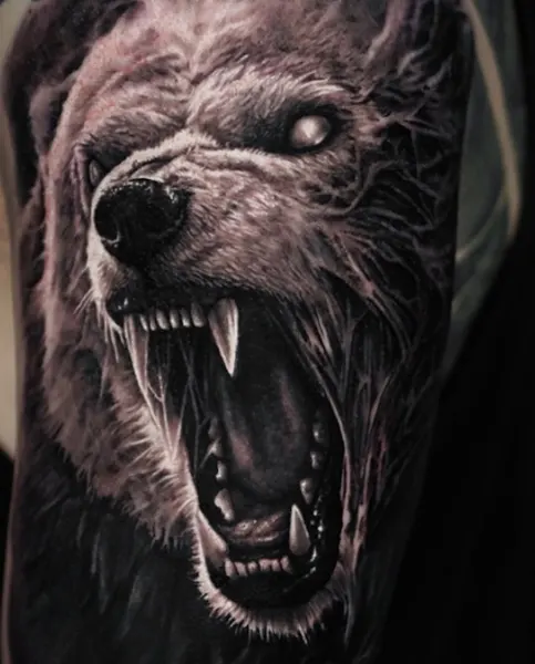 Animal