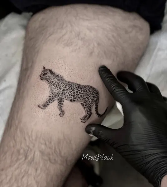 양, Animal, Tiger, 치타, 팬서, 표범, 발자국, 재규어