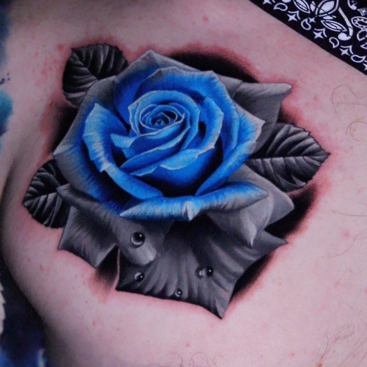 Nature, Rose, Flower