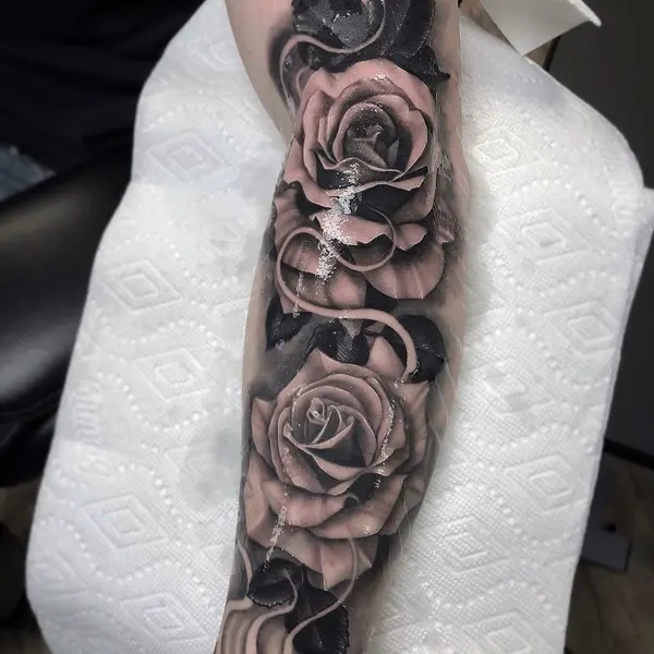 Flower, Rose