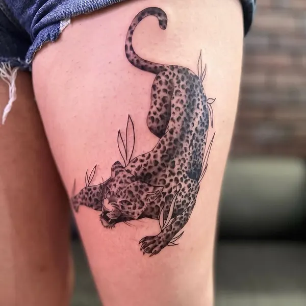 Tiger, Animal, 팬서