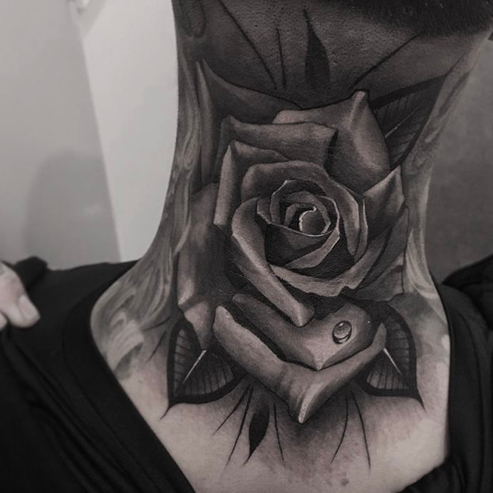 Flower, Rose, Nature