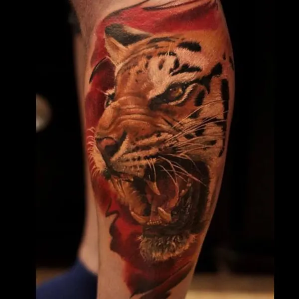 Tiger, 일본 호랑이, 중국 호랑이