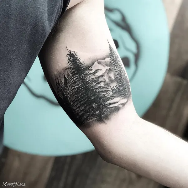 Nature, 소나무