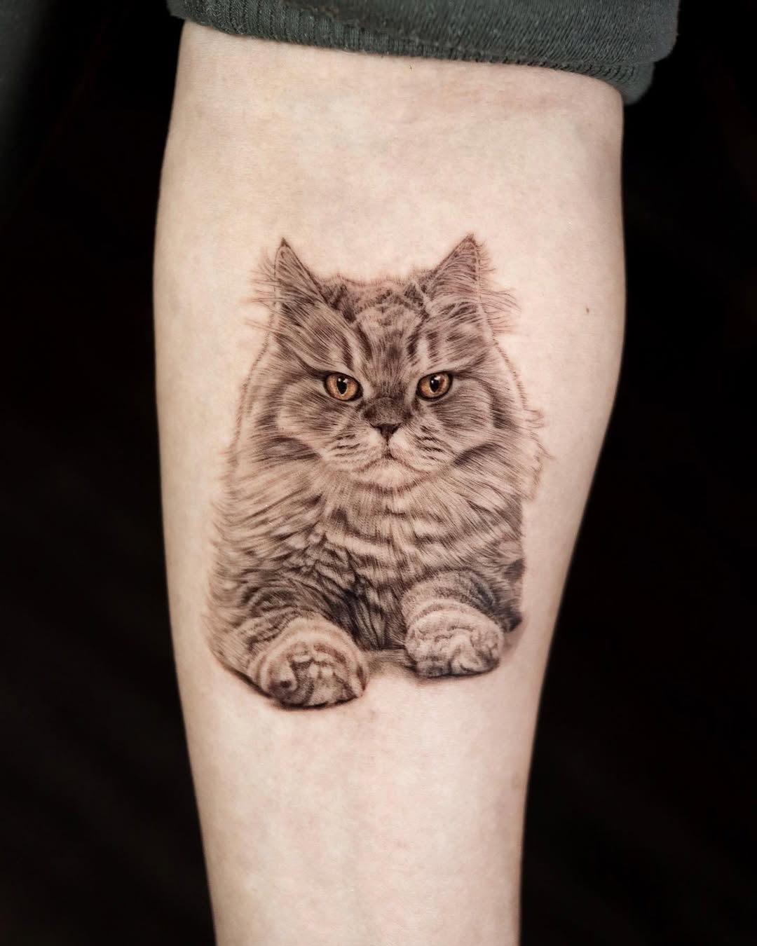 Animal