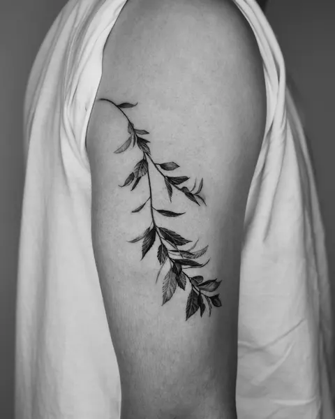 Rose, Flower, 잎, 풀, 고사리, 단풍잎, 대나무, 은행잎, Nature, 나뭇가지