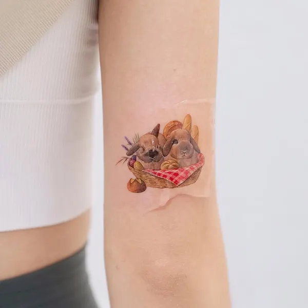Animal, 개구리, 거북이, 조개껍데기