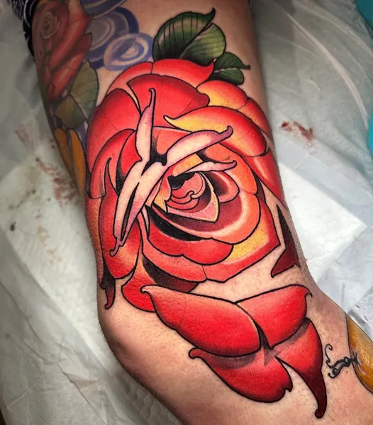 Flower, Rose