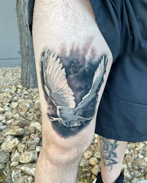 Daniel Rocha