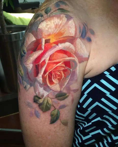 Rose, Nature, Flower