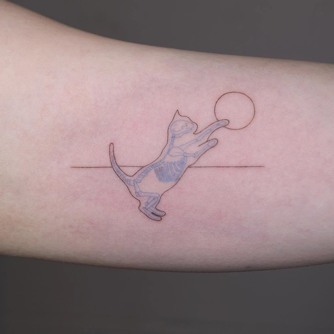 Animal, 바늘