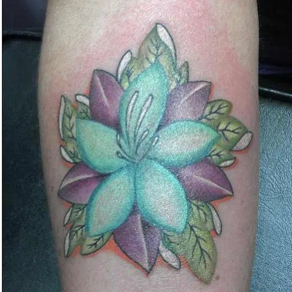 Flower, Rose, 국화, 탄생화, 수선화