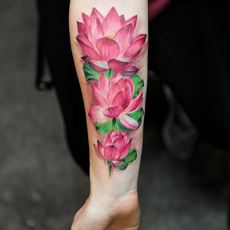 Flower, 모란, 목련, 연꽃, 국화, 튤립, 한국 연꽃, 꽃다발