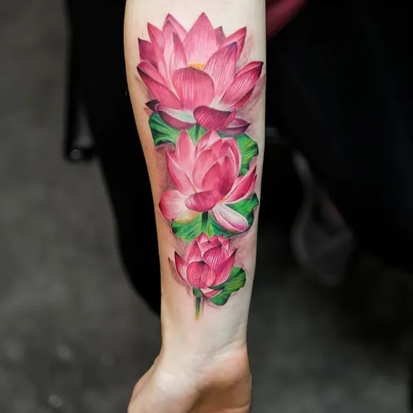 Flower, 모란, 목련, 연꽃, 국화, 튤립, 한국 연꽃, 꽃다발