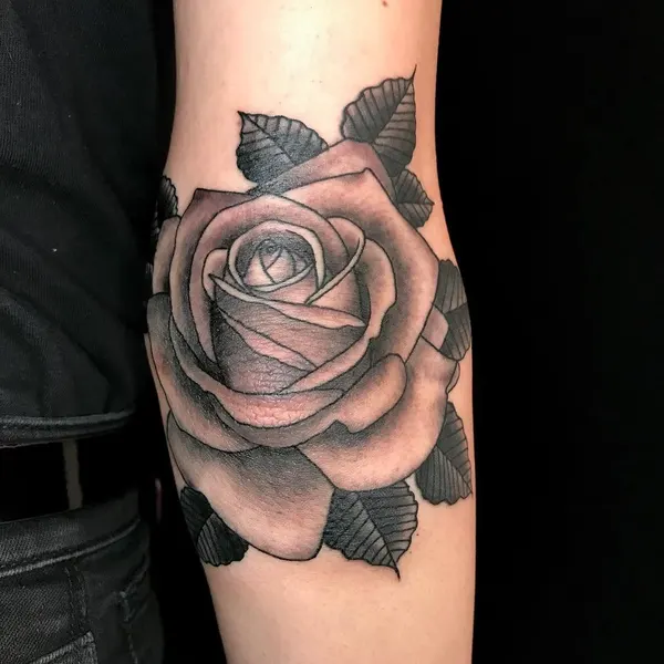 Flower, Rose