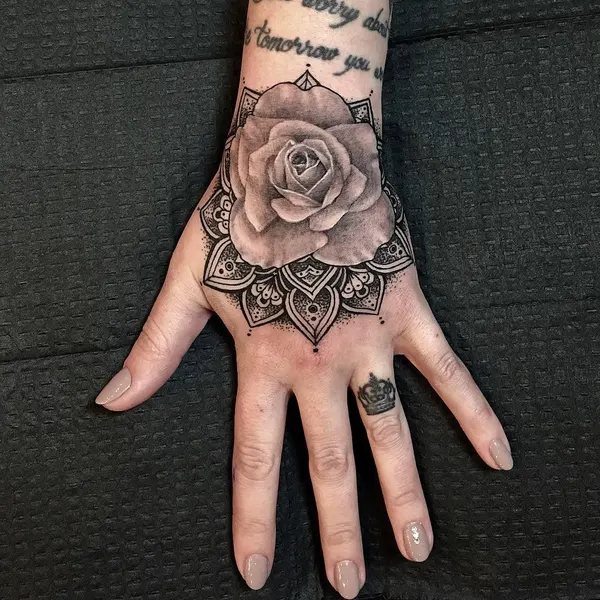 Flower, Rose