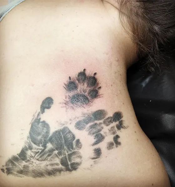 Animal, 연기