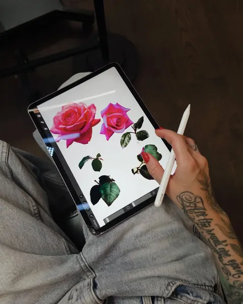 Flower, Rose, Nature, 모란