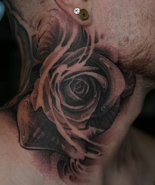 Flower, Rose, Nature