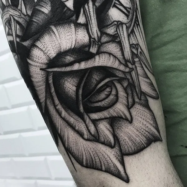 Flower, Rose