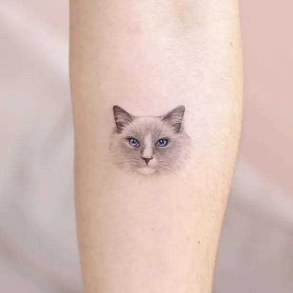 고양이, 여우 가면