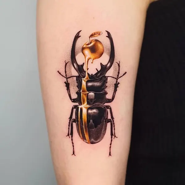 정의, 메두사
