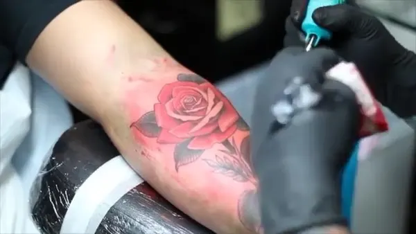 Flower, Rose