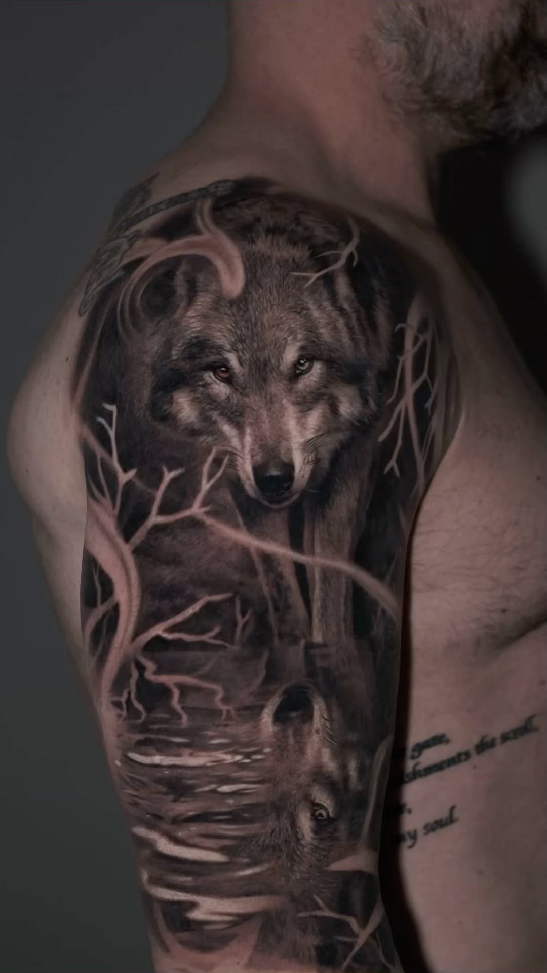 여우, 늑대, 늑대인간, Animal