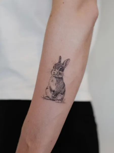 Animal, 토끼