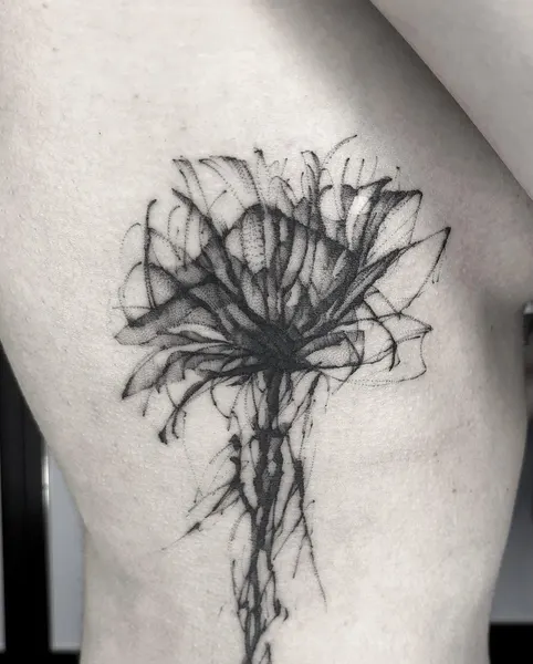 Flower, Nature