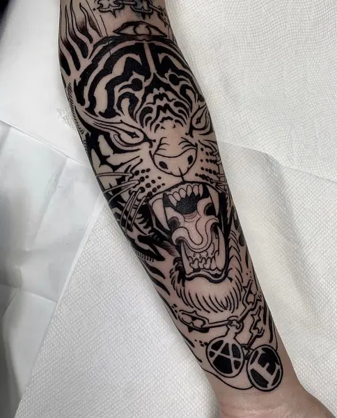 Tiger, 치타