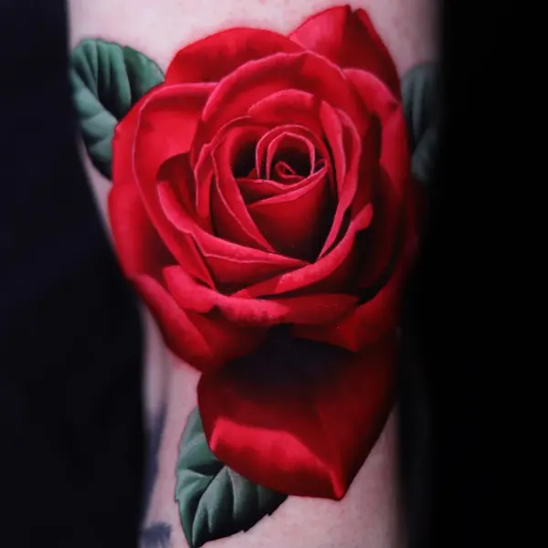 Flower, Rose