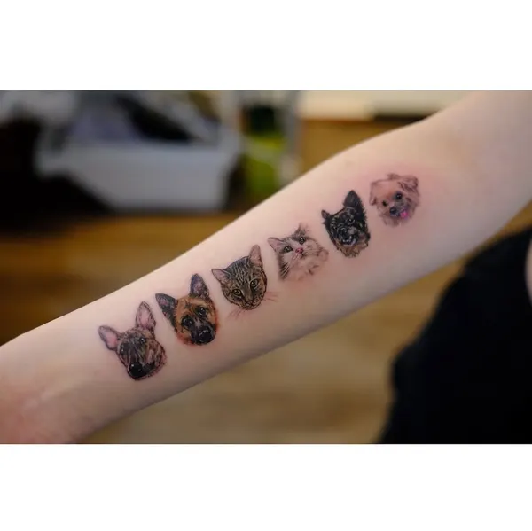 Animal