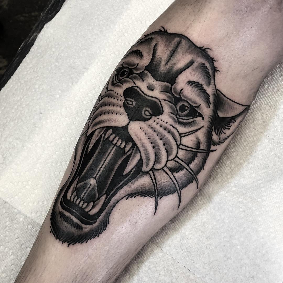 Tiger, Animal
