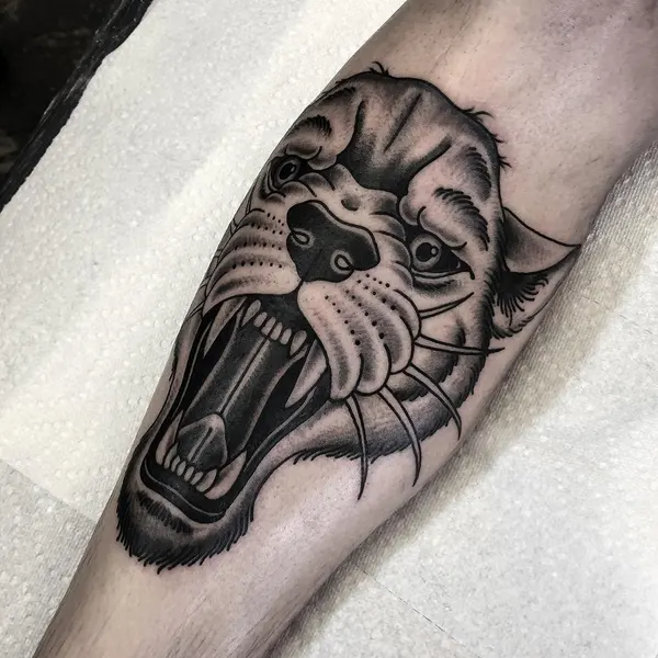 Tiger, Animal