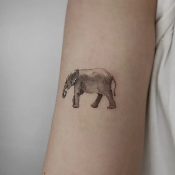 Flower, 소, 양, 함사, 멧돼지, 코끼리, 코알라, 나무늘보, Animal, 텐구, 황소, 그리핀