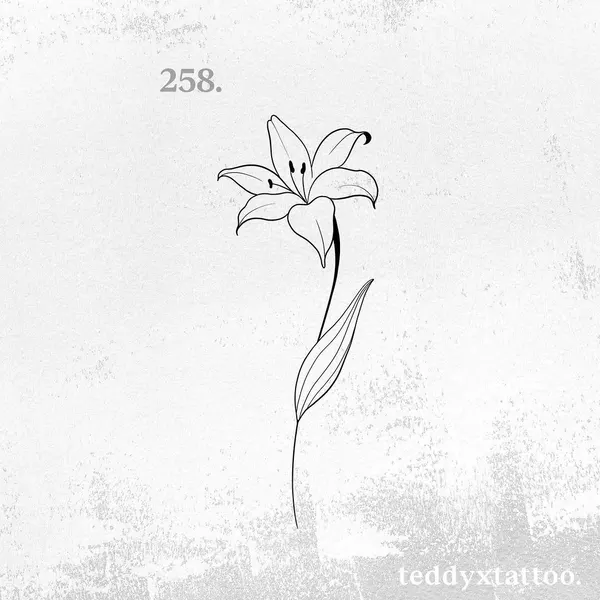 Flower, 모란, 백합, 난초, 튤립, 수선화, 아이리스