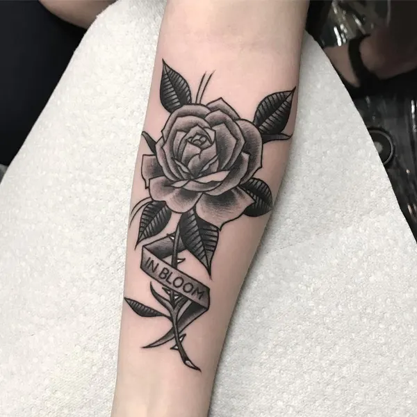 Flower, Rose