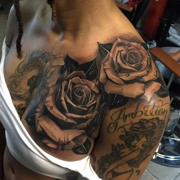 Flower, Rose, Nature