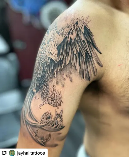 Dragon, 불사조