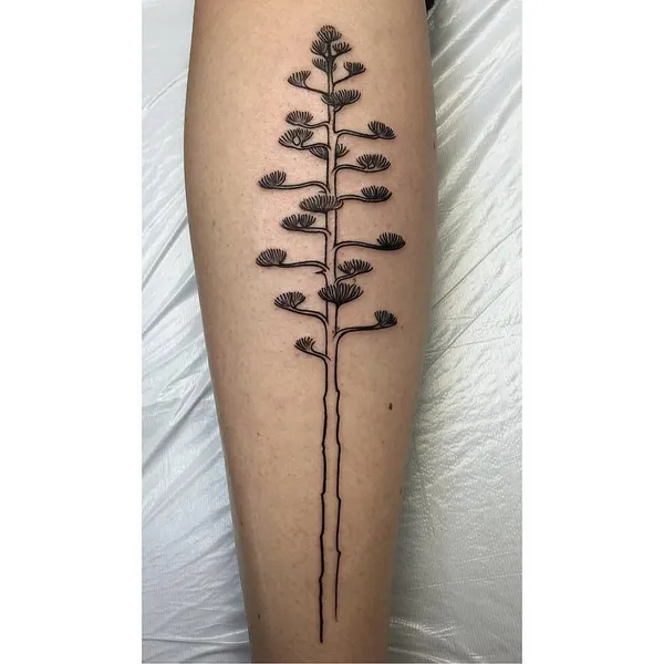 Flower, 고사리