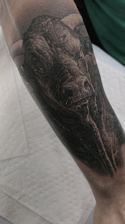 david_vega83