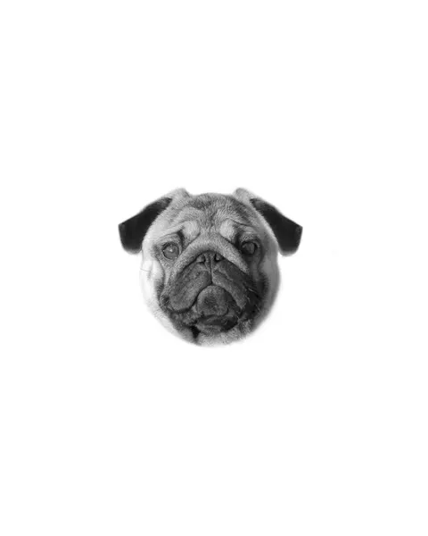 dorok.tattoo