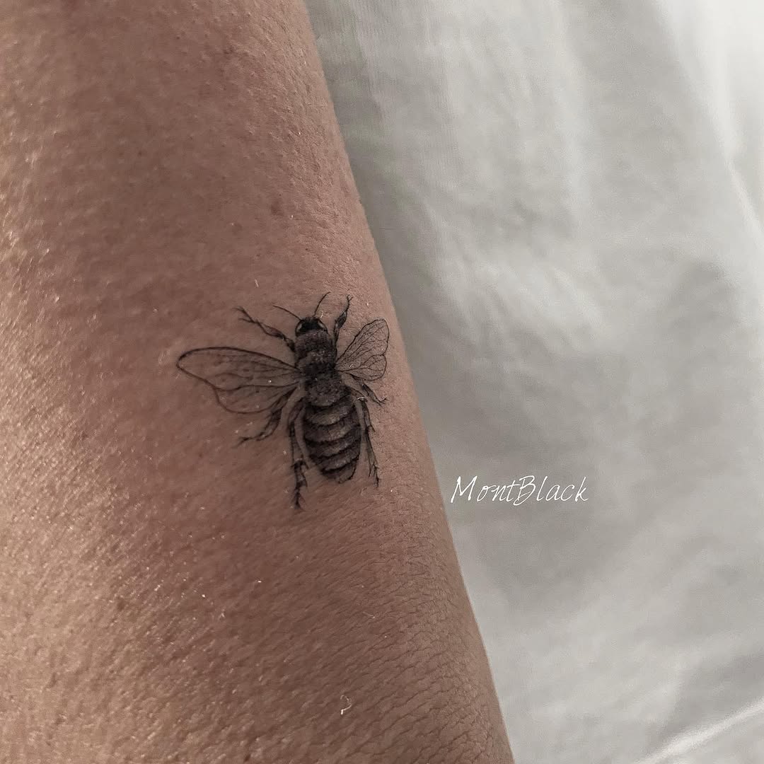 Animal, 개미, 벌, 매미